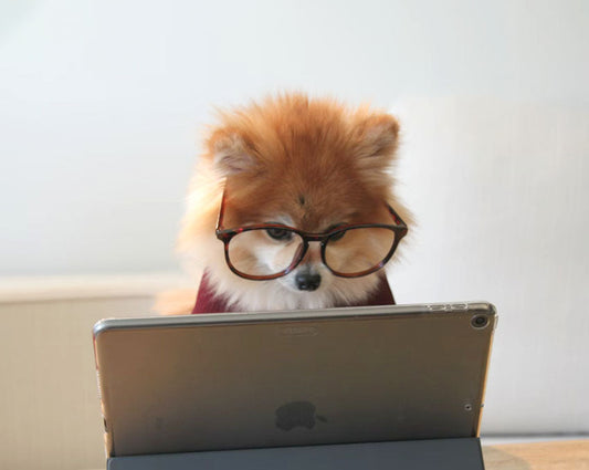 Insights from a Google Software Engineer